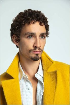 robert-sheehan117 (620x930, 70 kБ...)